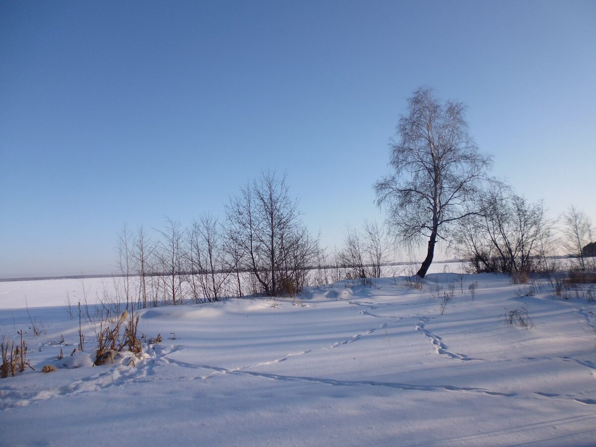 фото Елены Халдиной