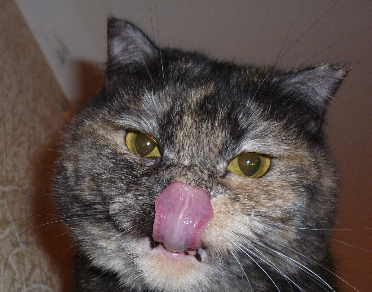 Пра завтракать