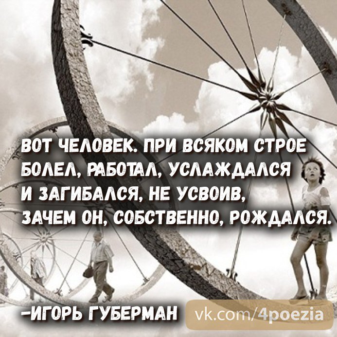 Прогулки вокруг барака губерман. Высказывания Губермана. Губерман цитаты. Цитаты в картинках Губермана. И Губерман афоризмы.