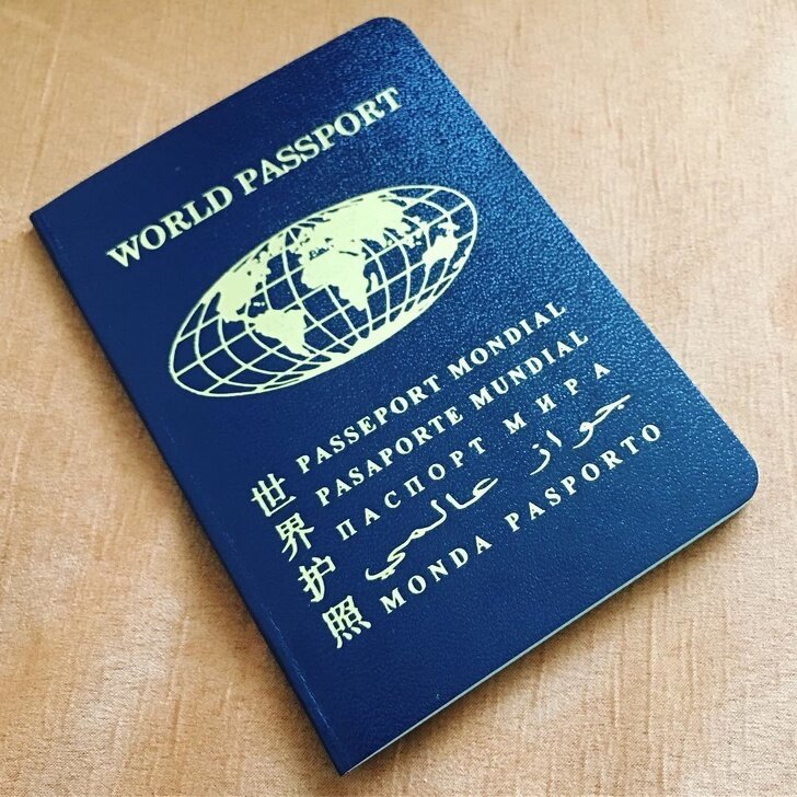 Как выглядит паспорт мира