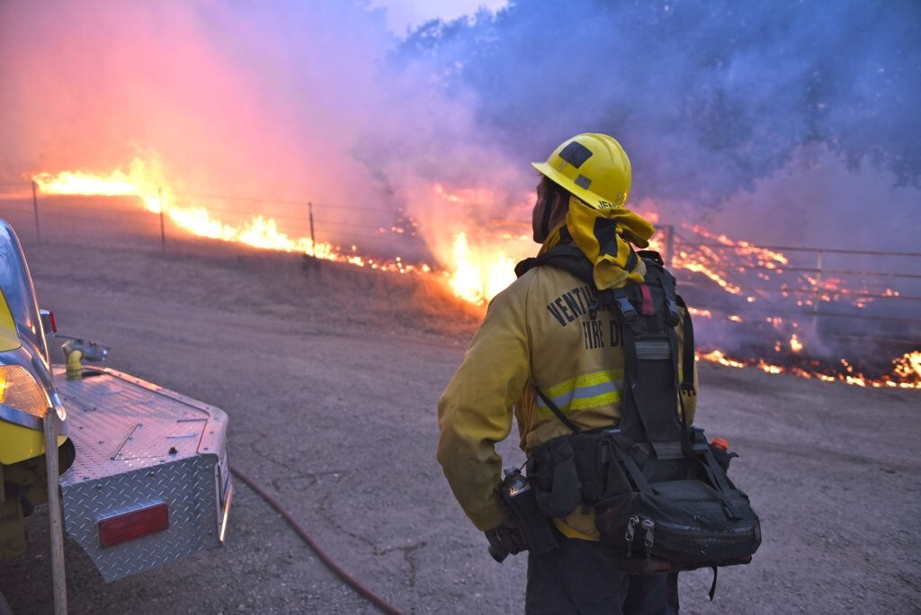 Лесной пожар в Калифорнии стал рекордным в истории штата