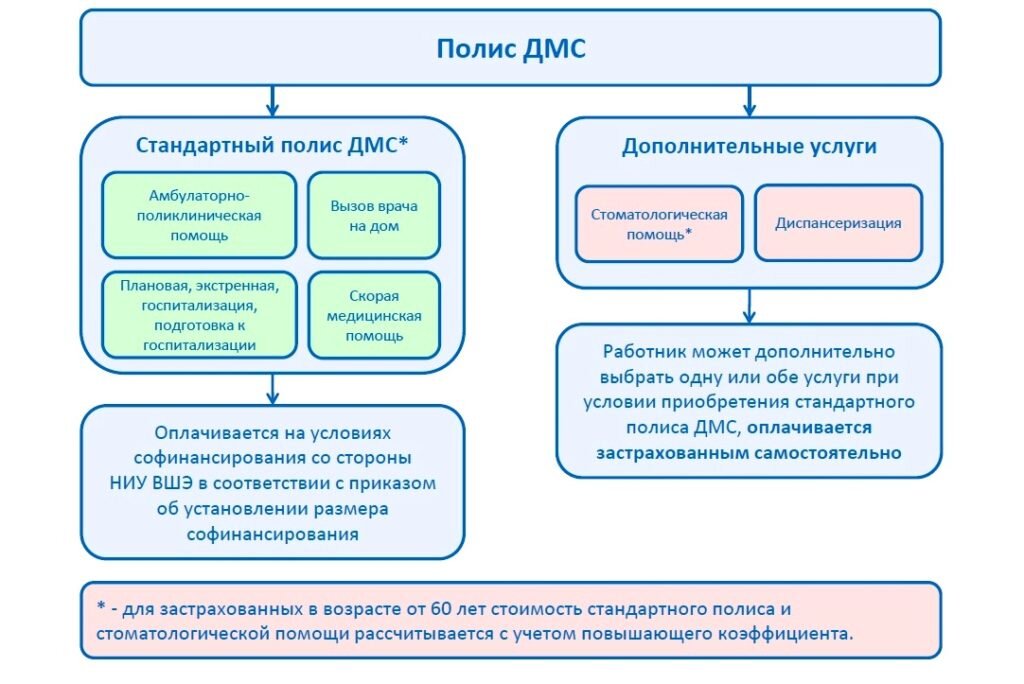 ДМС для сотрудников организации: что это такое и что оно дает, как ...