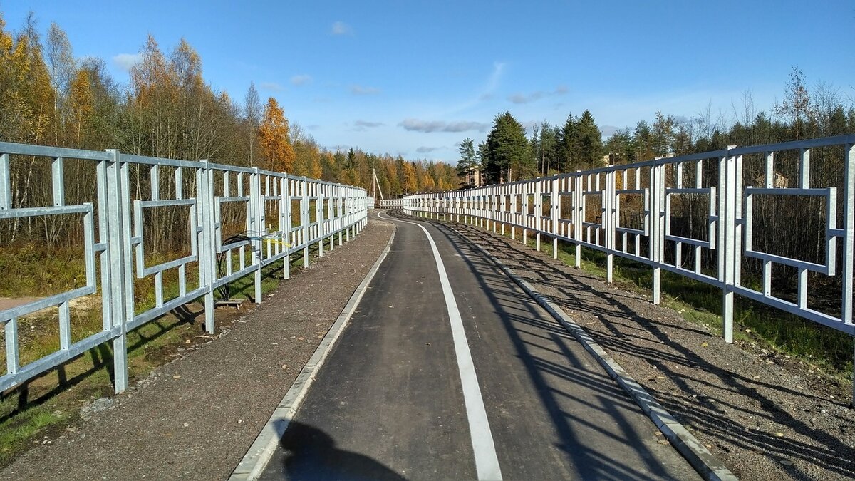 Фото: сайт Вконтакте, велодорожка в г. Всеволожске