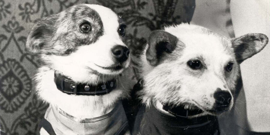 Источник: Яндекс Картинки