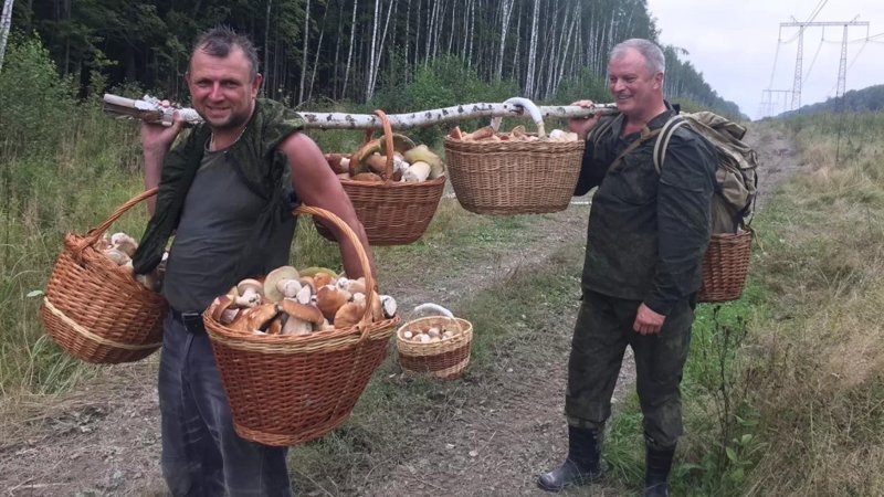 Святослав и Леонид.