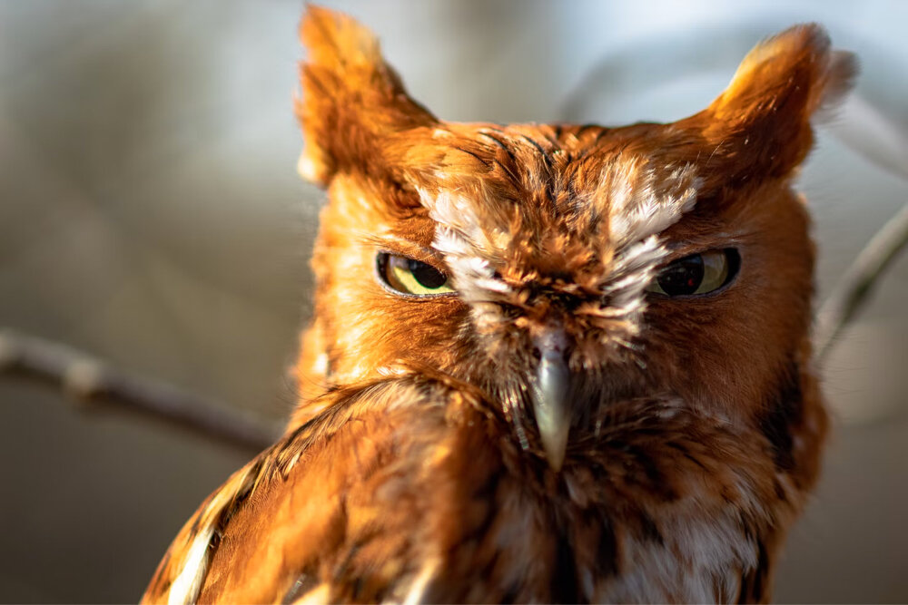 Фото: unsplash.com