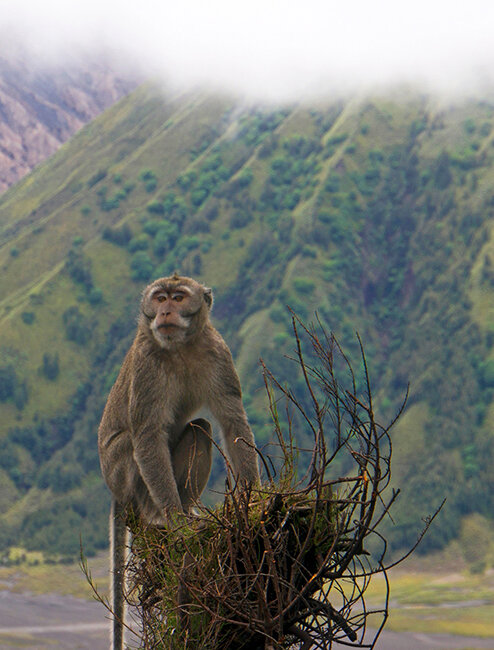 Источник: Яндекс.Картинки
