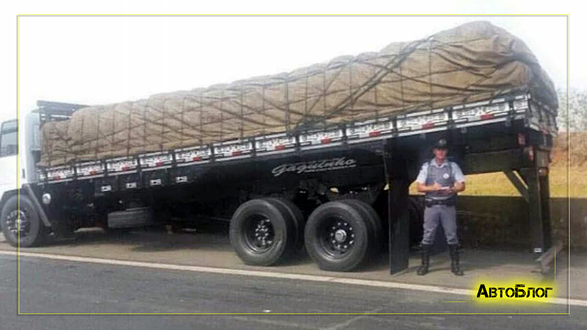 Источник изображения: youtube.com