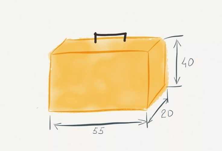 Габариты ручной клади. Источник изображений: Яндекс. Картинки