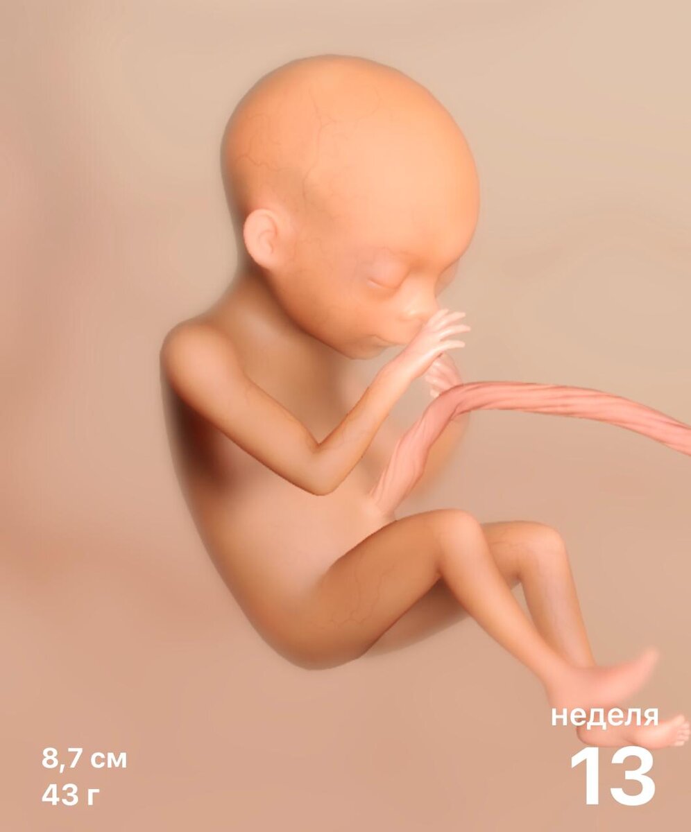 Приложение