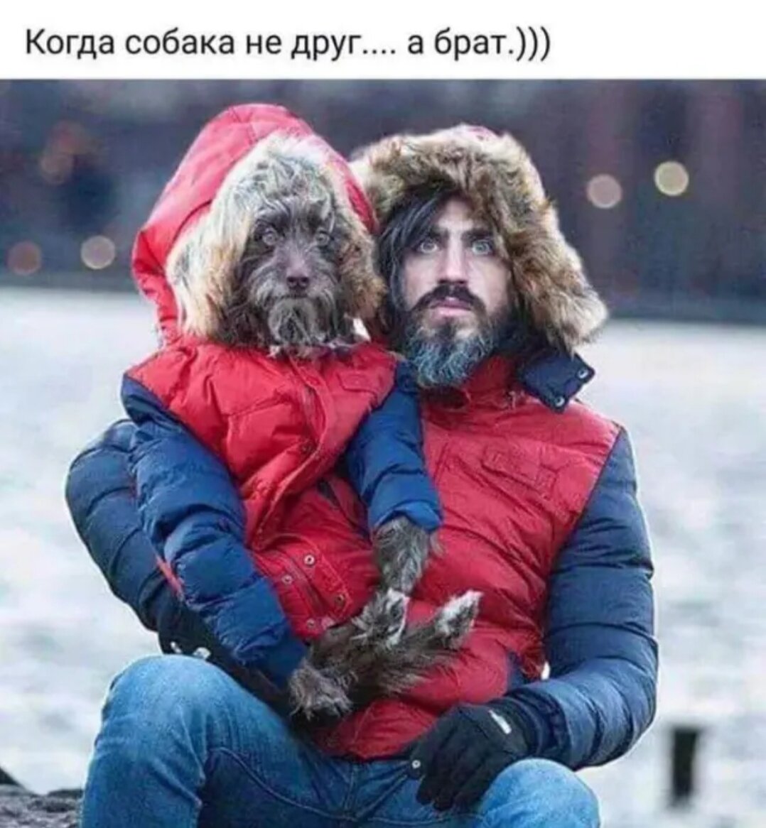 Яндекс картинки