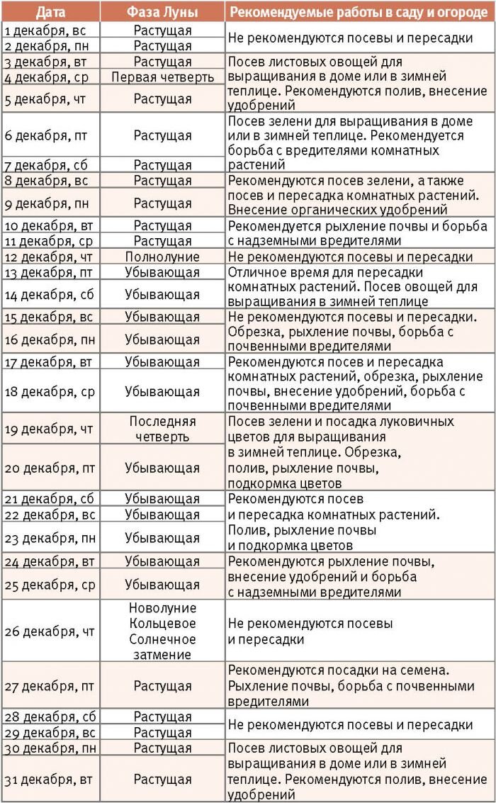 Обрезаем, рыхлим, боремся с вредителями: лунный календарь на ноябрь Крестьянская