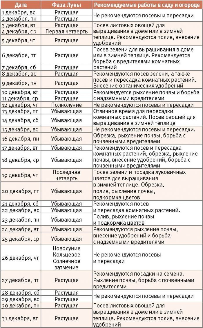 Календарь стрижек на октябрь 24 года астросфера Зима - не повод скучать: лунный календарь садовода и огородника на декабрь Крест