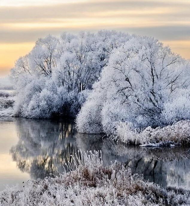 фото яндекс картинки