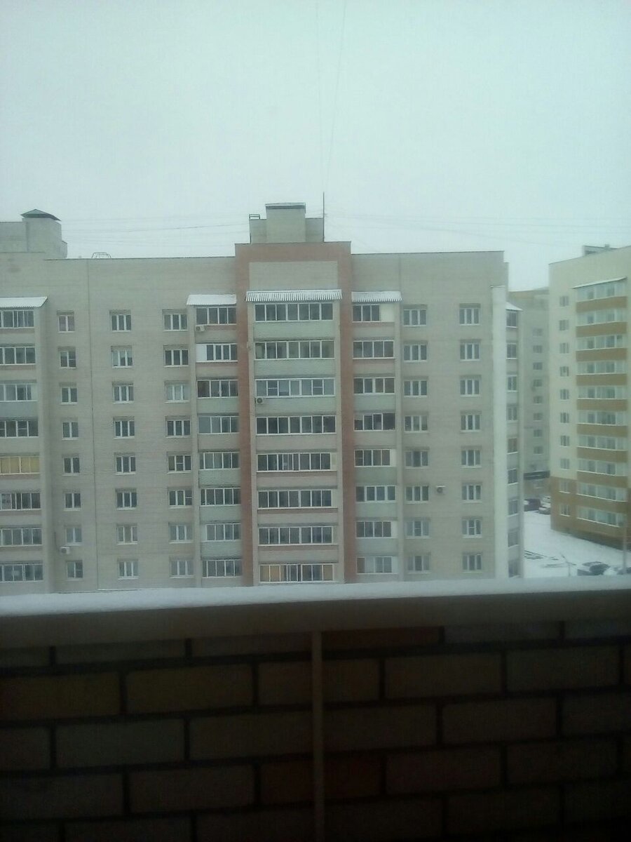 Каменные джунгли (фото из личного архива)