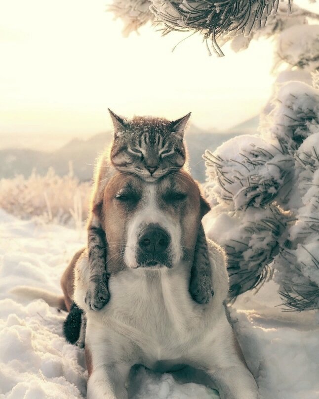 Поц и Лаваца.