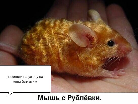 Всем 