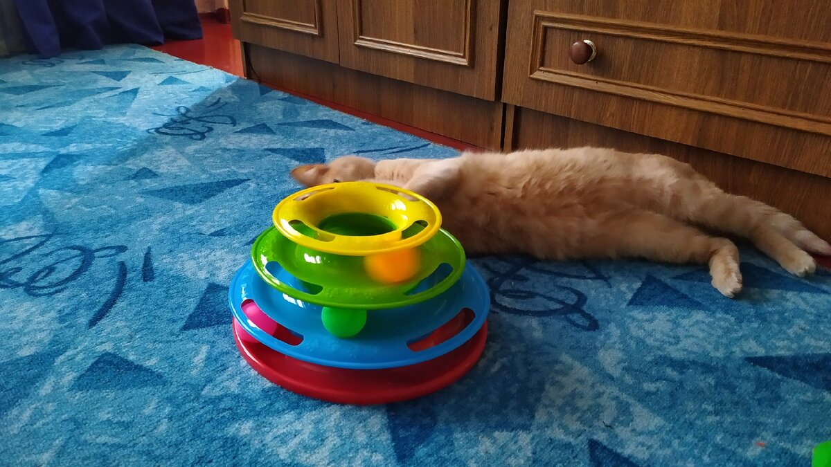 Соня играет в шарики