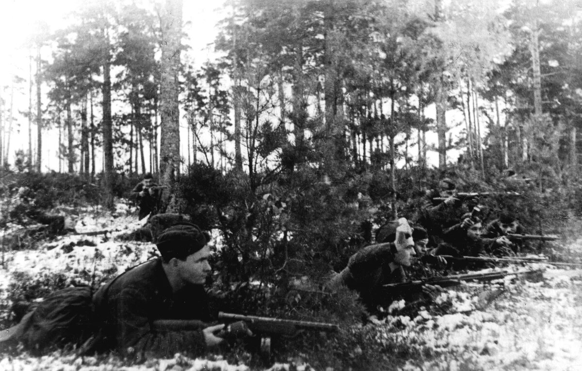 Фотография использована в качестве иллюстрации.