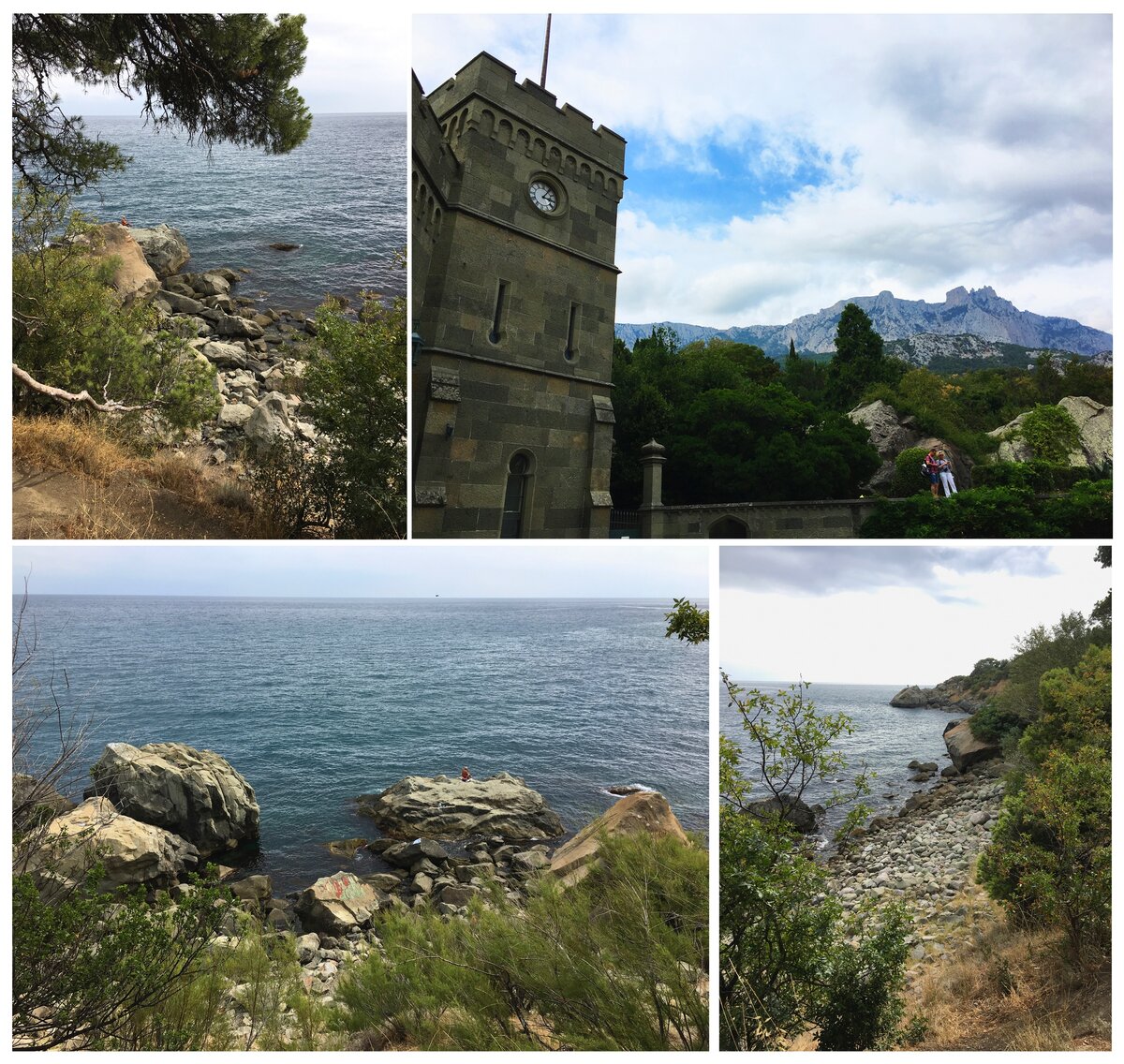 Вид на одну из башен дворца (правый верхний угол) и выход к морю из Воронцовского парка