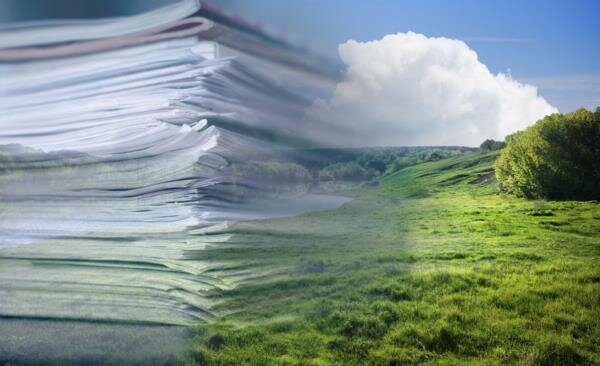 Проведение аудитов является необходимым условием для получения сертификата ГОСТ Р ИСО 14001-2016 (ISO 14001:2015)