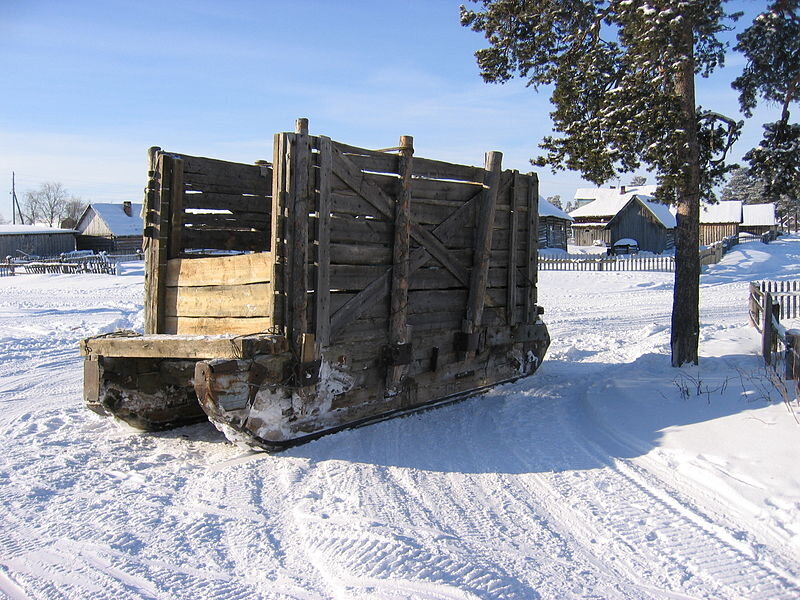 Фото из Яндекс Картинок