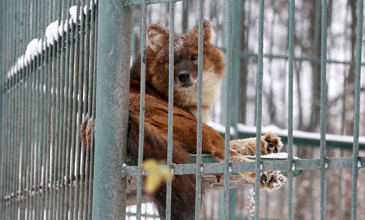 Фото: Алексей Манянин. Фото предоставлено управлением по связям со СМИ администрации Нижнего Новгорода.