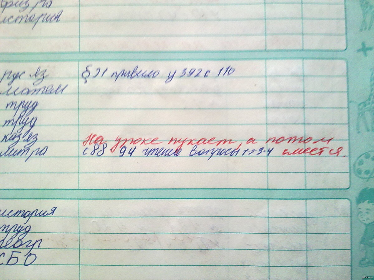 Что нарисовать в дневнике вместо фото ученика