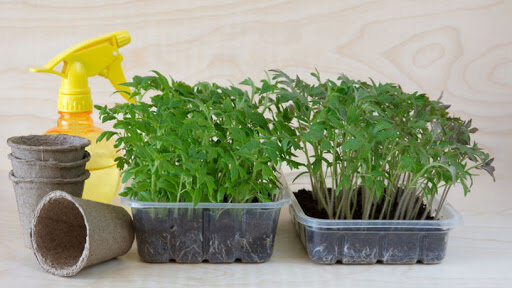 Девять способов борьбы с сорняками