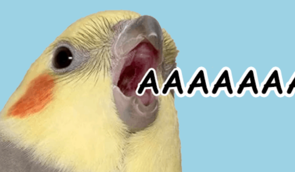 Как поставить голос для пения? 3 Упражнения для постановки голоса ...