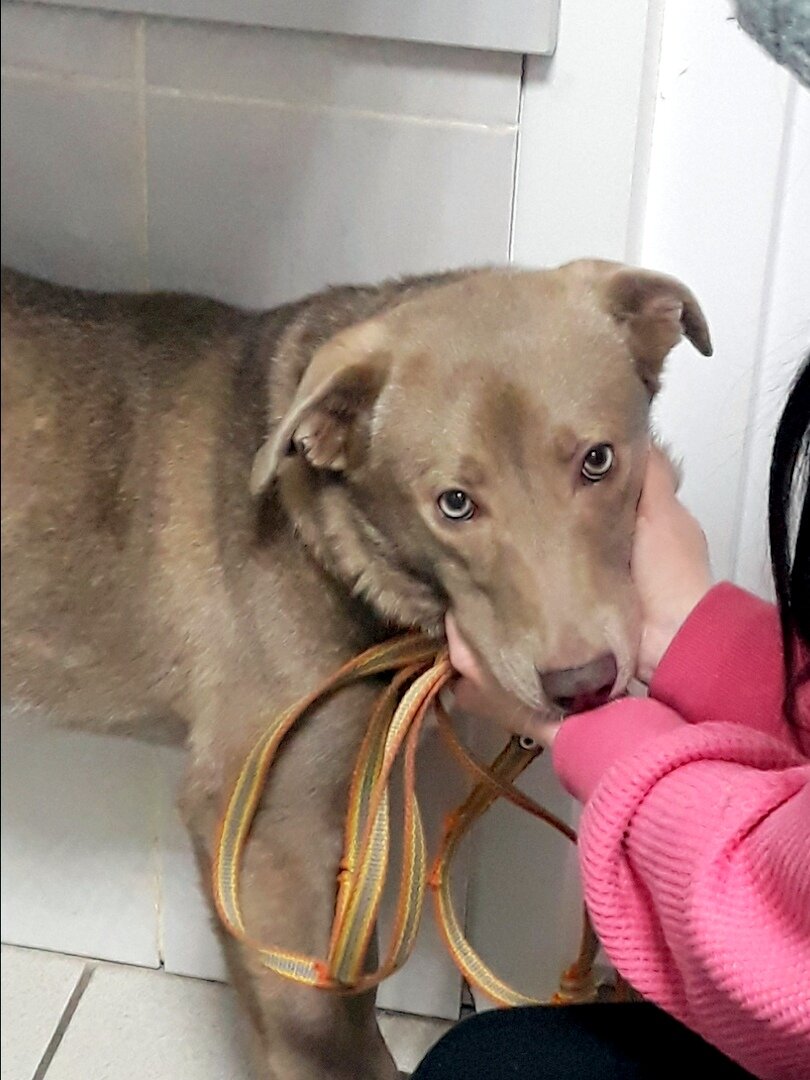 А потом сделали УЗИ и оставили одну, в клинике