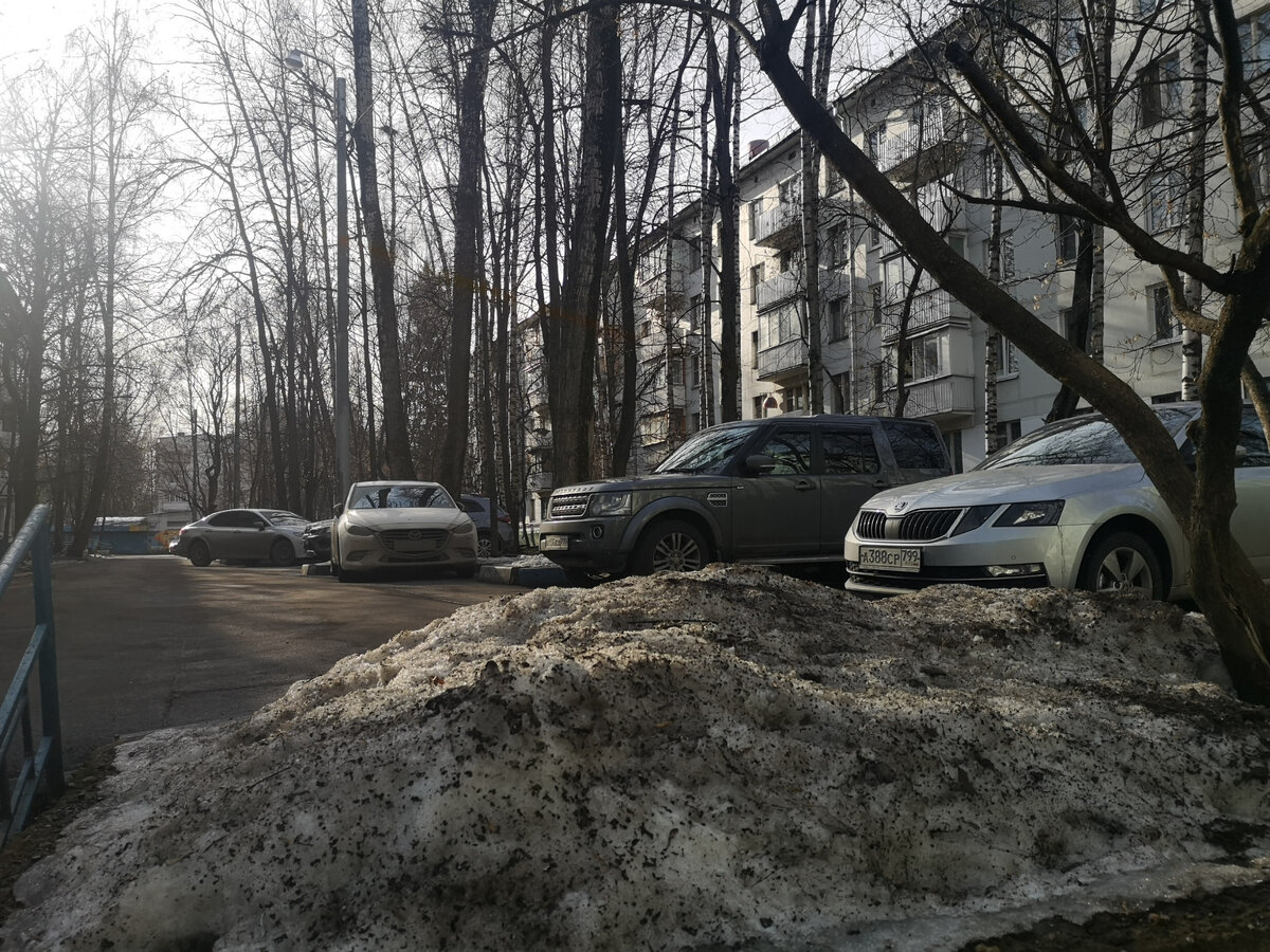 В Москве весна, дворы сверкают лужами, и под ногами расцветают 