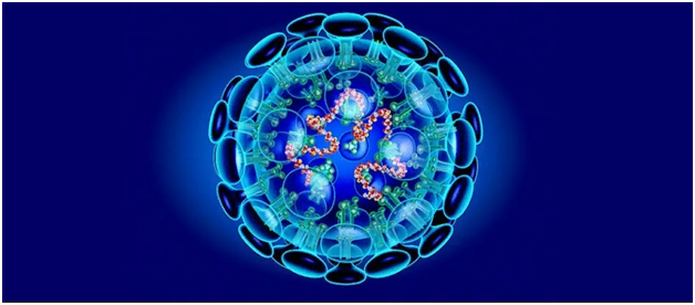 Коронавирус