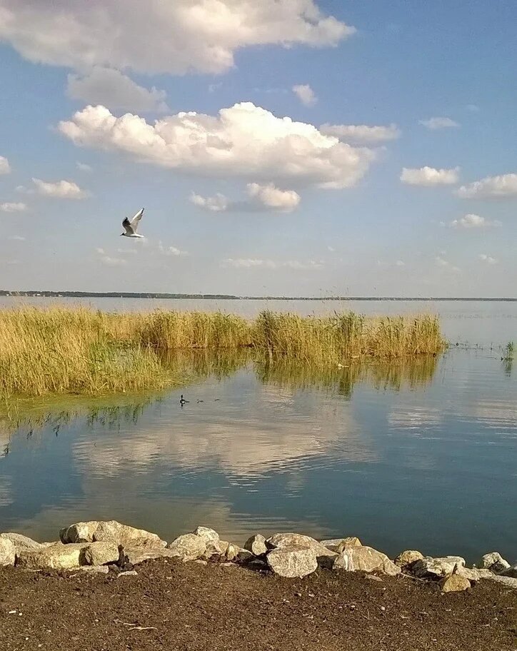 Фотографирует здешние пейзажи, а иногда в кадр попадают и животные).