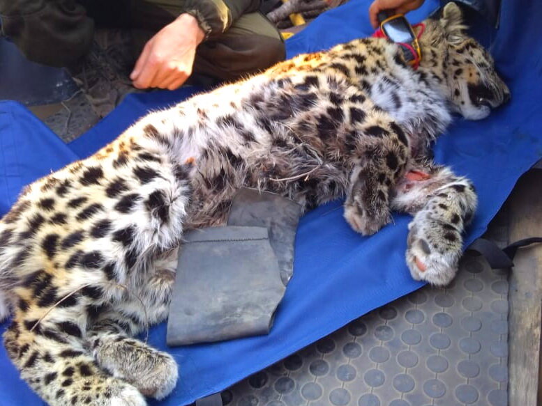 Еще немного - и было бы поздно