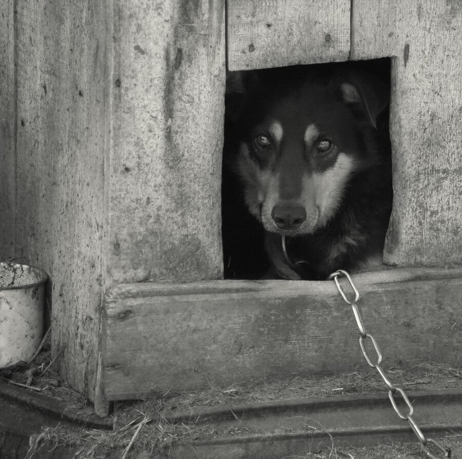 фото из открытых источников