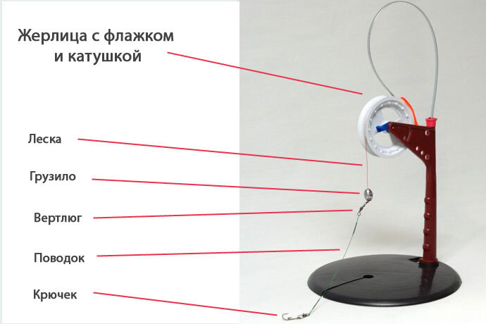 строение жерлицы