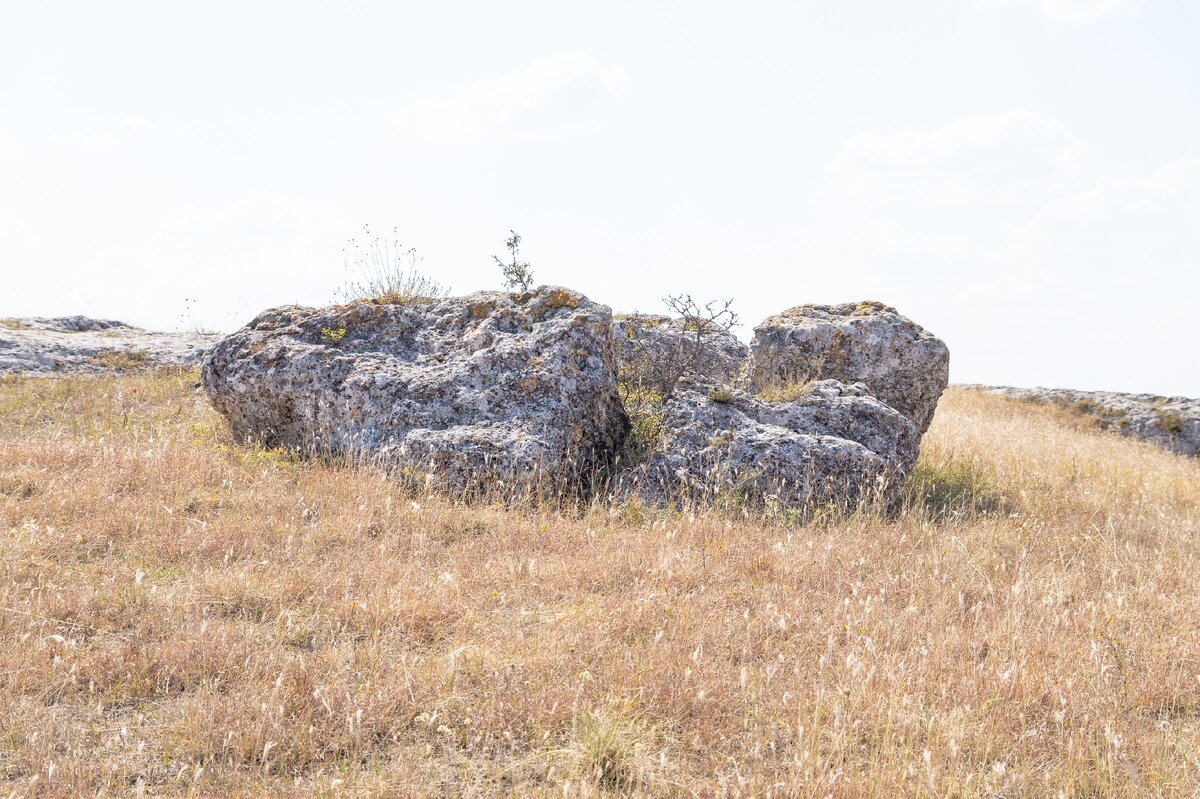2. Группа больших камней и маленькие деревья между ними.