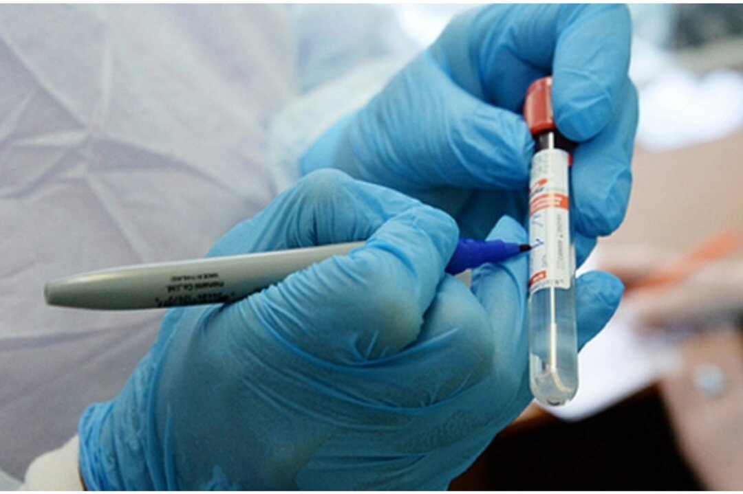 Фото : РИА новости