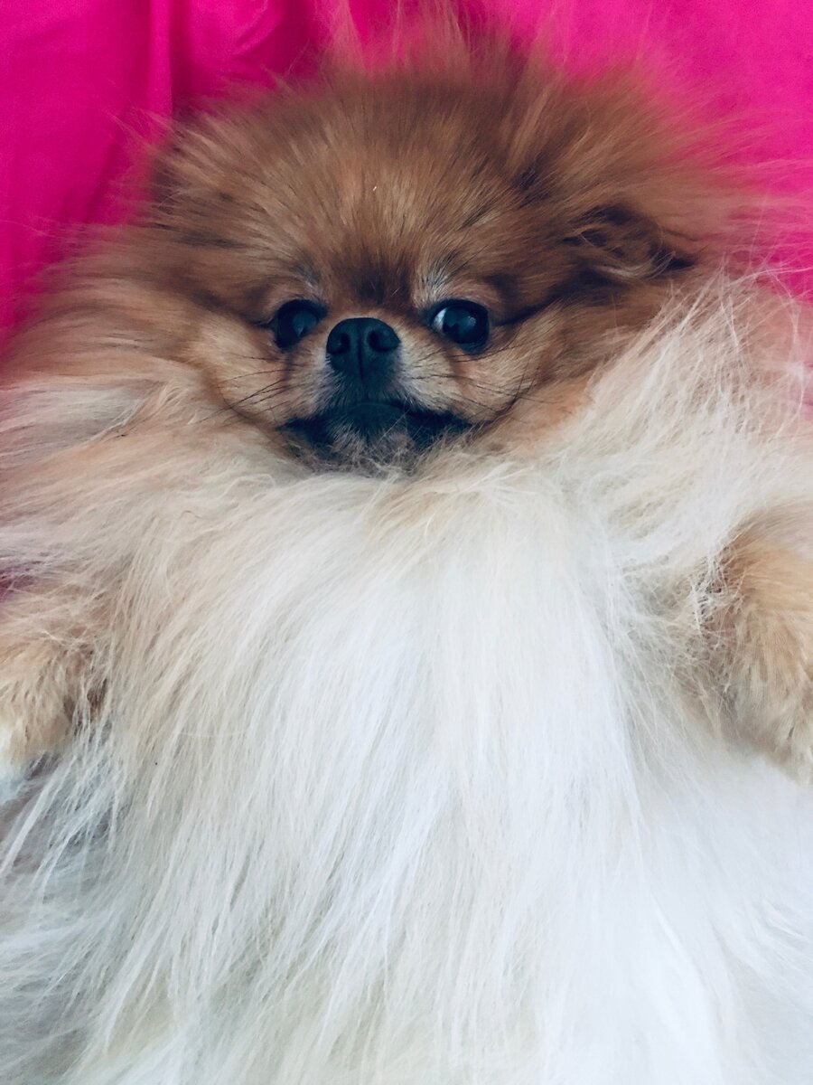 Настроение и состояние сегодня примерно такое😀