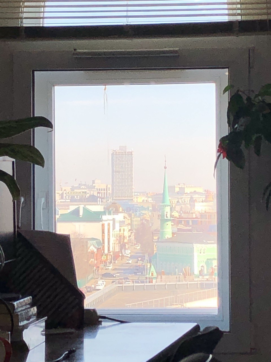 Виды из окон 