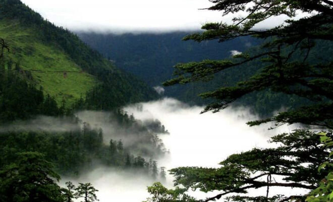 Хэйчжу – Лощина черного бамбука
