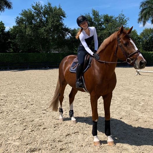 На фото: Элизабет Мадден и Darry Lou на этапе Кубка наций по конкуру в Веллингтоне/автор: © FEI/Shannon Brinkman 
