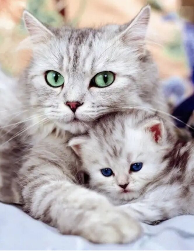 И так, начнём!!! 