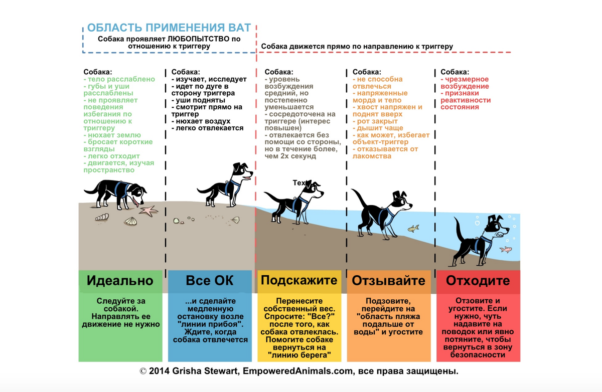 Фотография взята из открытых источников