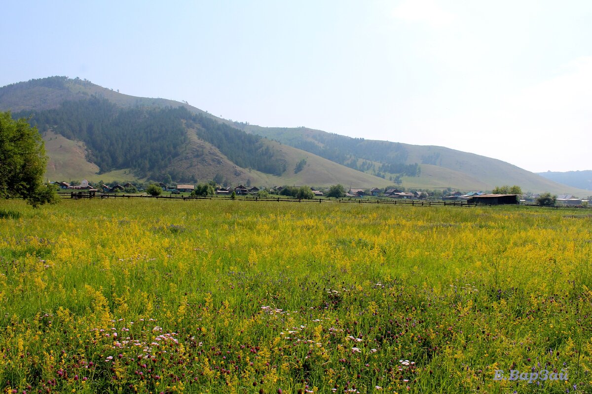 Бичура Лето 2019 г.