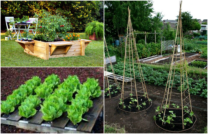  
Идеи создания красивых клумб и грядок.
Близится сезон грядок и полей, а значит самое время начать пополнять свой арсенал знаний в области садоводства. В новом обзоре на конкретных примерах будут показаны новые, весьма интересные способы оформления зеленых насаждений и грядок на своем участке. Приятного просмотра, дачники.
