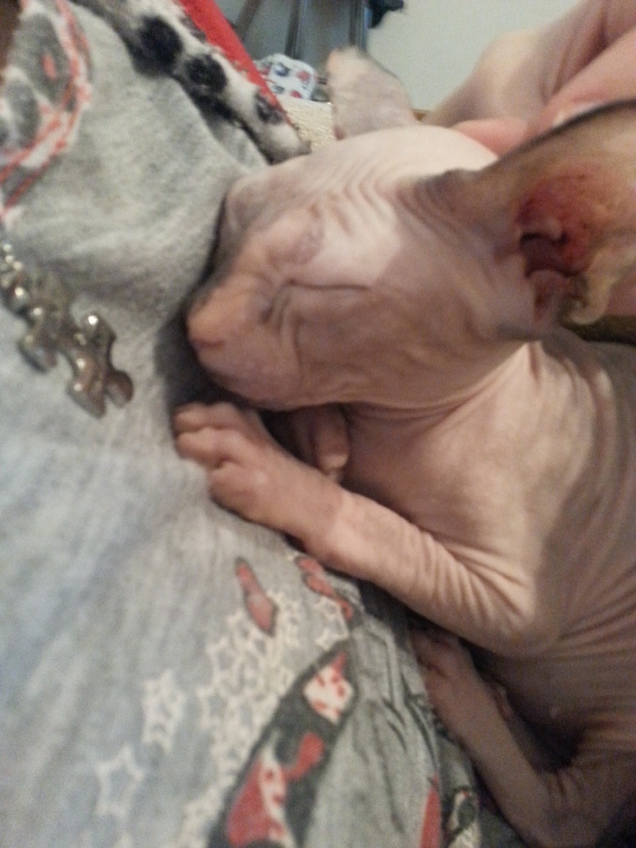 Первые дни с нами