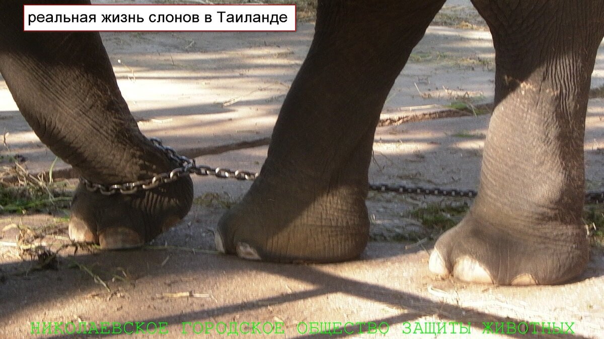 Таиланд