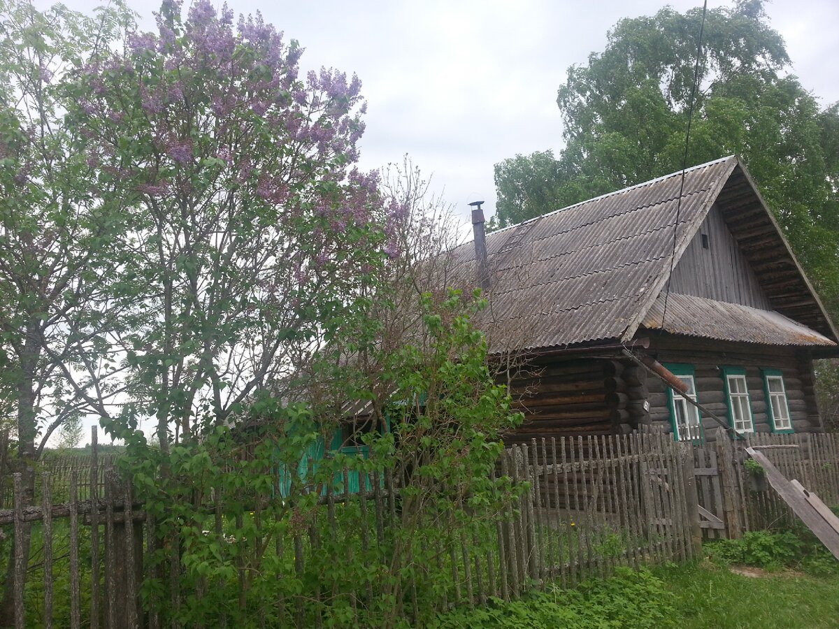 Мой дом. 2013 год.